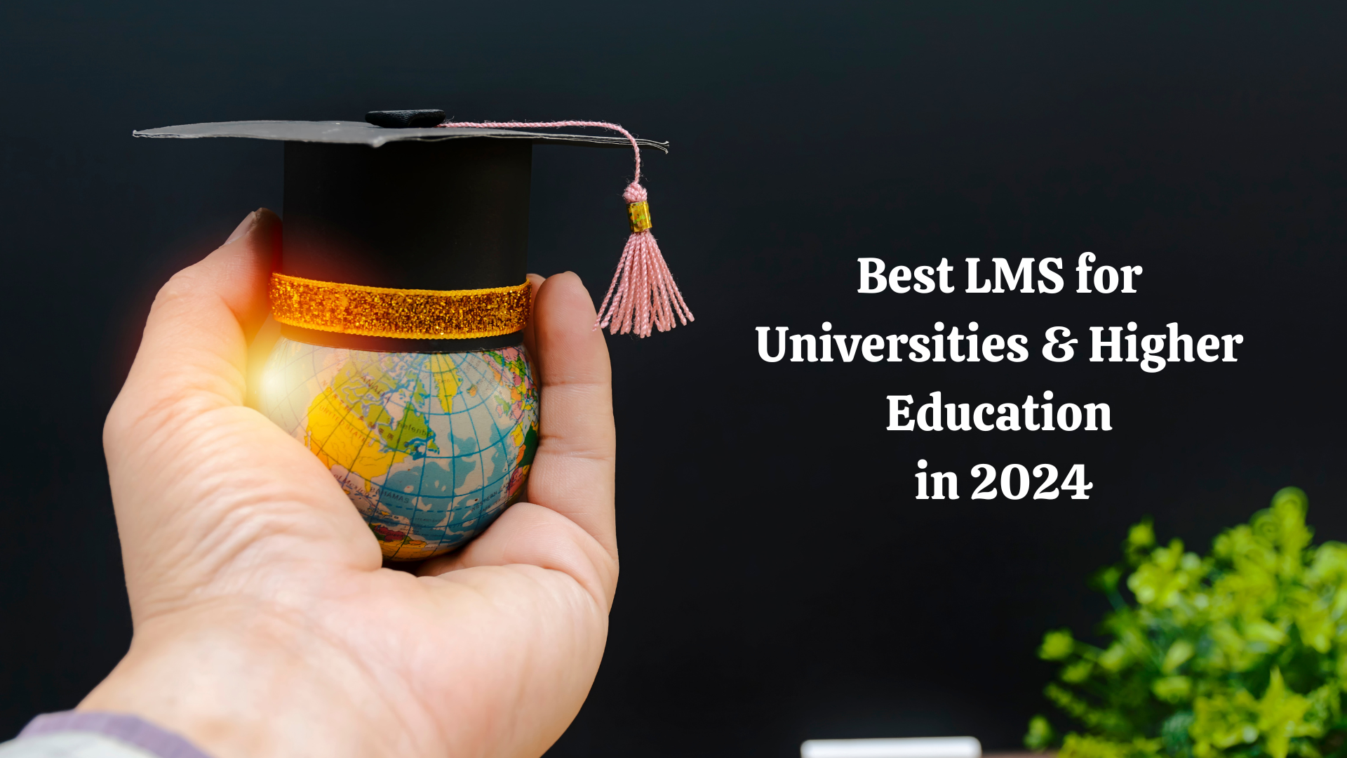 Best LMS for Universities & Higher Education in 2025